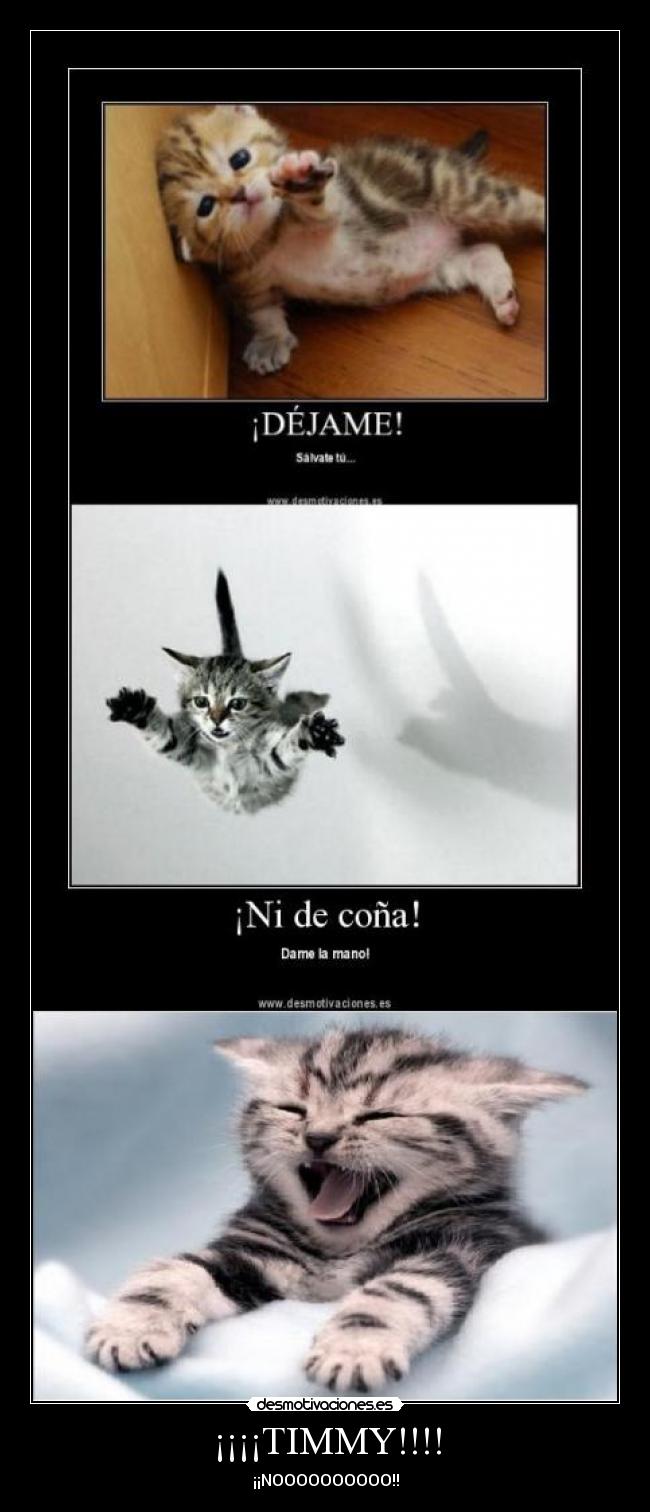 ¡¡¡¡TIMMY!!!! -