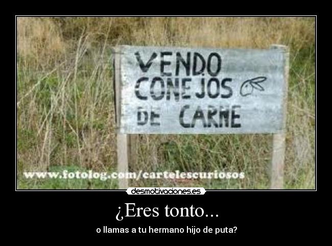 ¿Eres tonto... -
