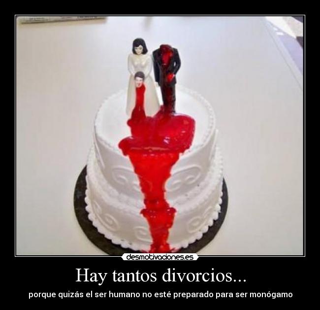 Hay tantos divorcios... - porque quizás el ser humano no esté preparado para ser monógamo