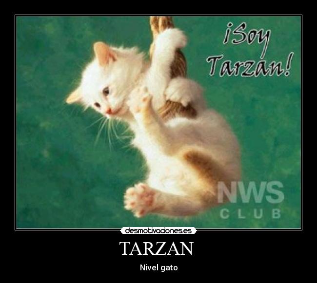 TARZAN -