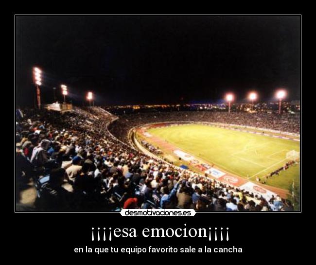¡¡¡¡esa emocion¡¡¡¡ - en la que tu equipo favorito sale a la cancha