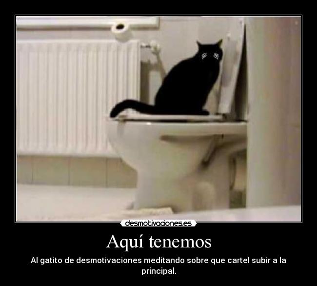 Aquí tenemos - Al gatito de desmotivaciones meditando sobre que cartel subir a la principal.