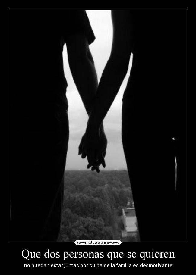 carteles dos personas quieren juntas culpa familia pgf etc desmotivaciones
