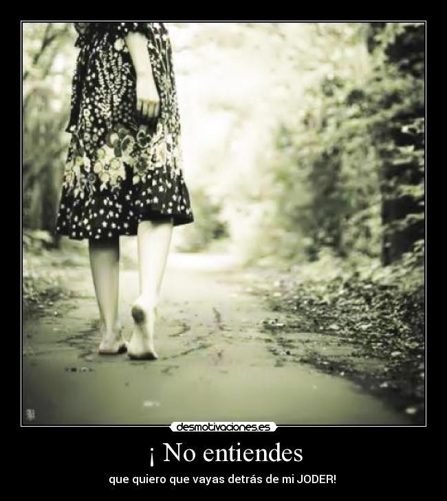 ¡ No entiendes - que quiero que vayas detrás de mi JODER!