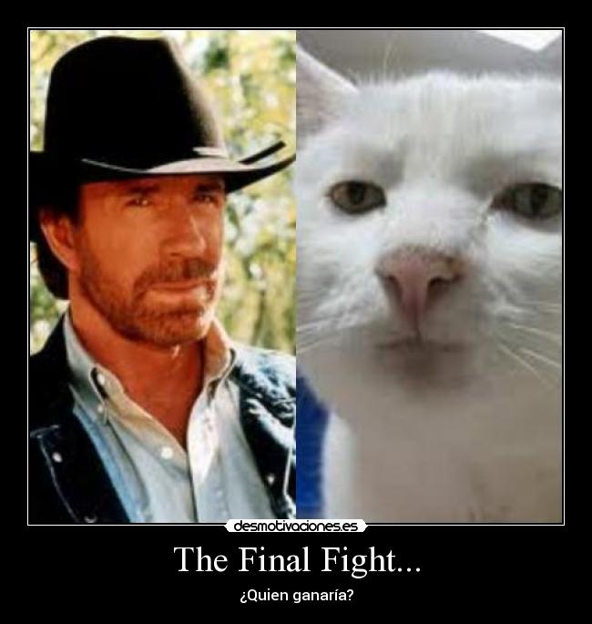 The Final Fight... - ¿Quien ganaría?