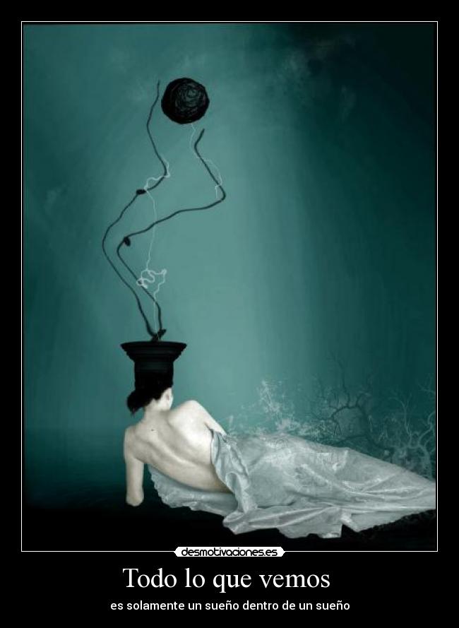 Todo lo que vemos  - 