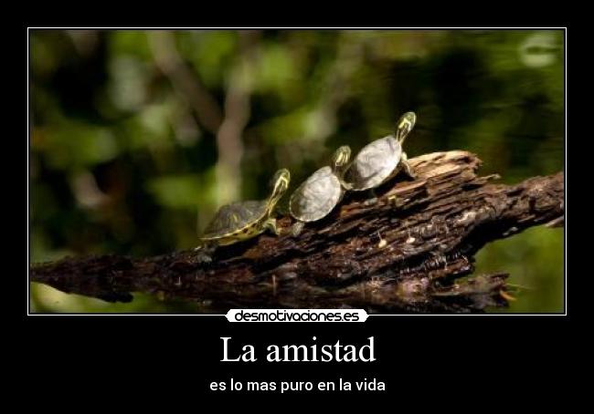 La amistad - es lo mas puro en la vida