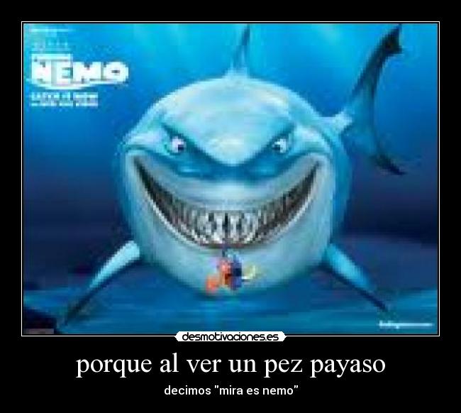 porque al ver un pez payaso -