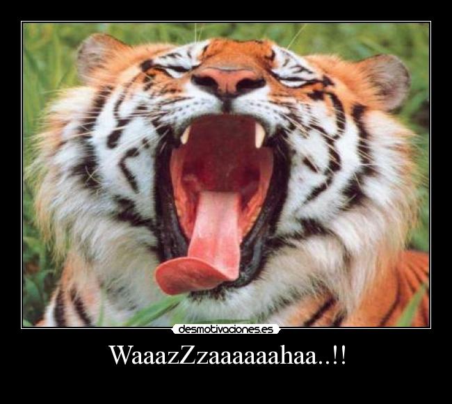 WaaazZzaaaaaahaa..!! -