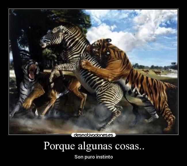 Porque algunas cosas.. - Son puro instinto
