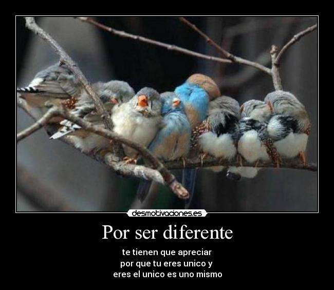 Por ser diferente -