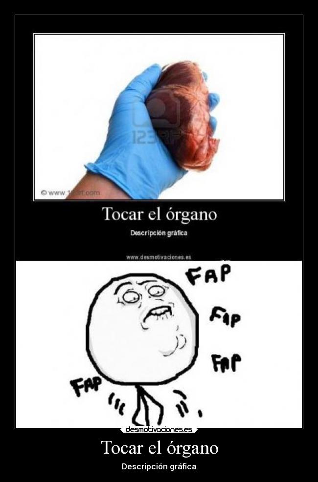 Tocar el órgano - Descripción gráfica