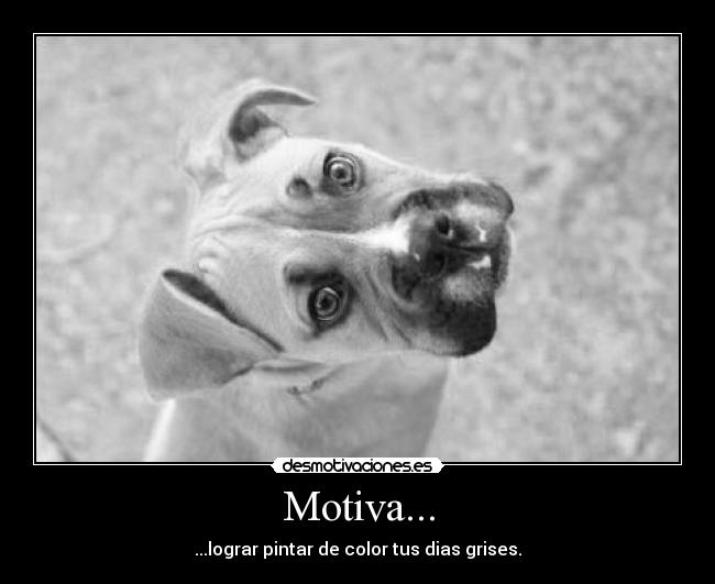 carteles you are the only exception desmotivaciones