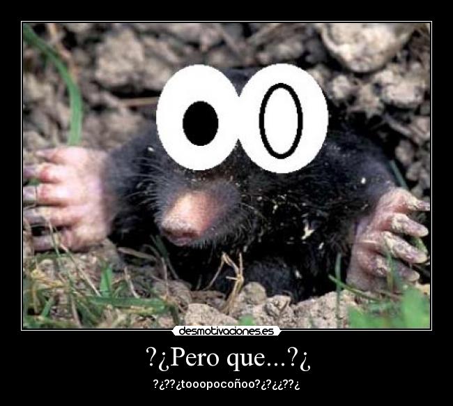 ?¿Pero que...?¿ - 