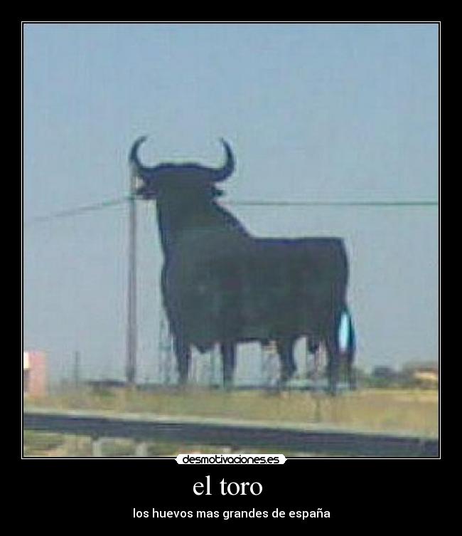 el toro  - los huevos mas grandes de españa