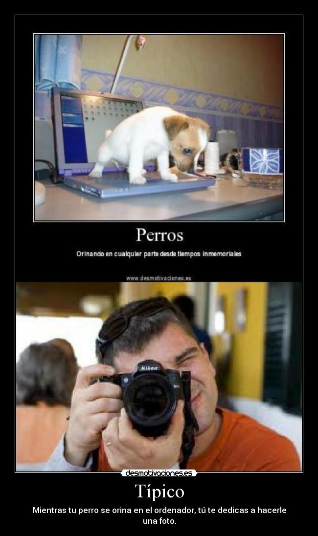 carteles tipico desmotivaciones