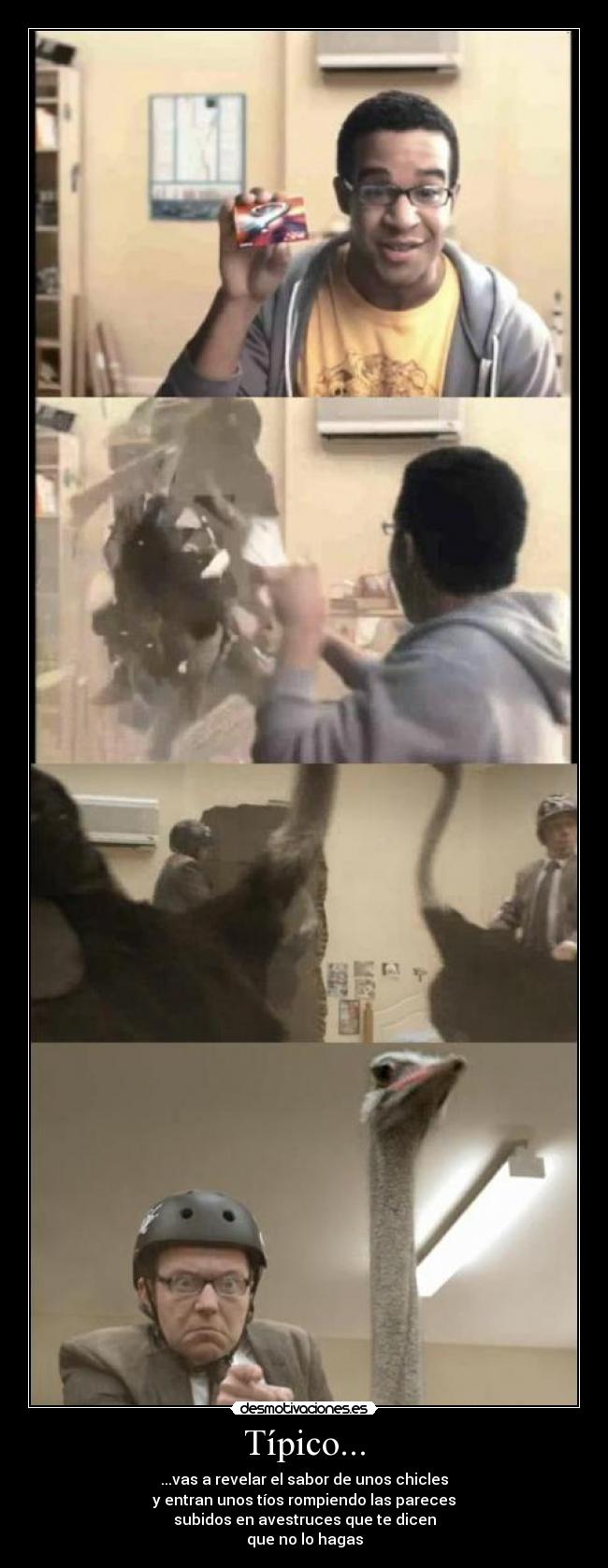 Típico... - ...vas a revelar el sabor de unos chicles
y entran unos tíos rompiendo las pareces
subidos en avestruces que te dicen
que no lo hagas