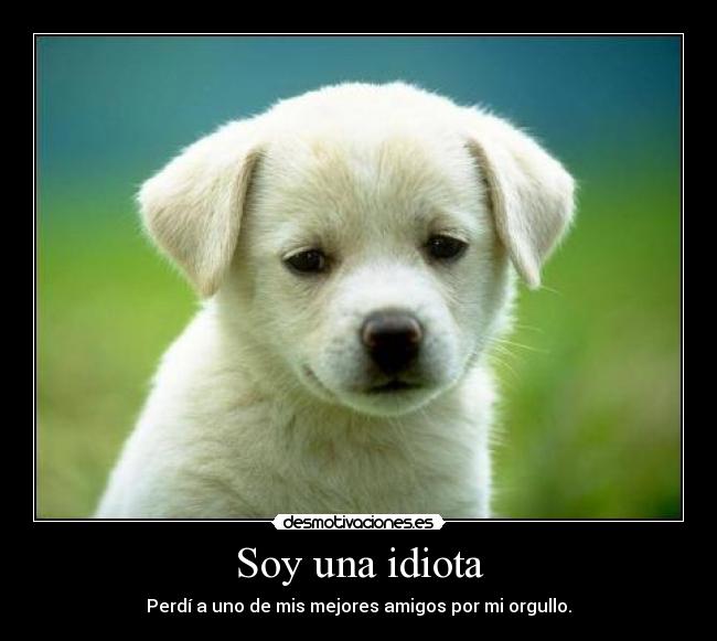 Soy una idiota - 