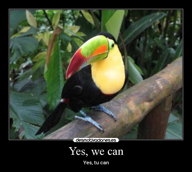 carteles tucan can tucan coca desmotivaciones