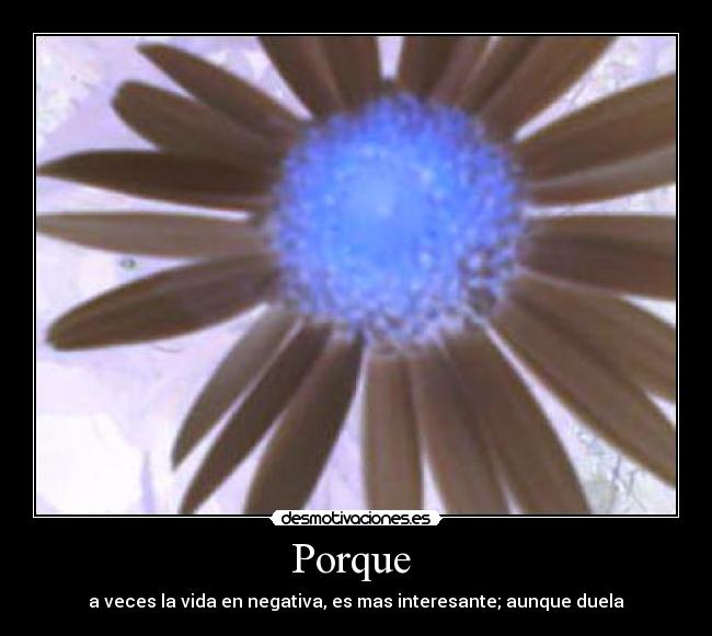 Porque  - a veces la vida en negativa, es mas interesante; aunque duela