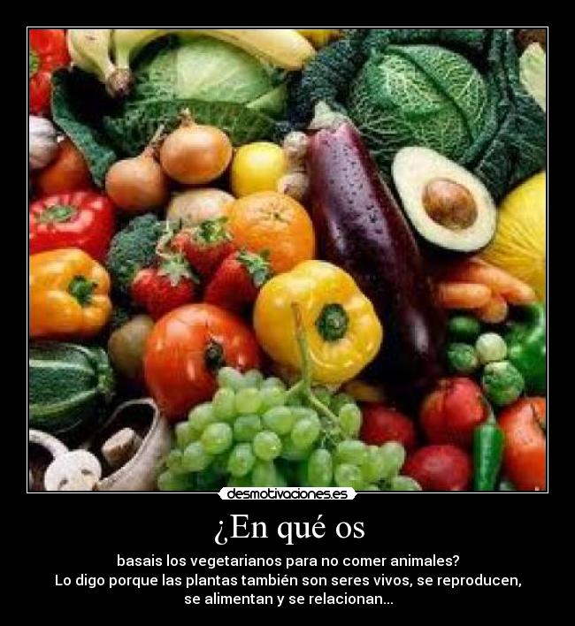 ¿En qué os - basais los vegetarianos para no comer animales?
Lo digo porque las plantas también son seres vivos, se reproducen,
se alimentan y se relacionan...