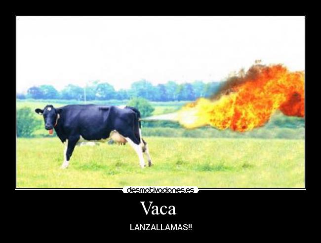Vaca - LANZALLAMAS!!