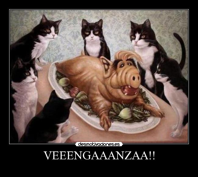 VEEENGAAANZAA!! -