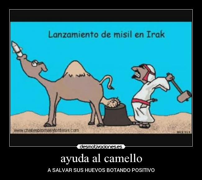 ayuda al camello -
