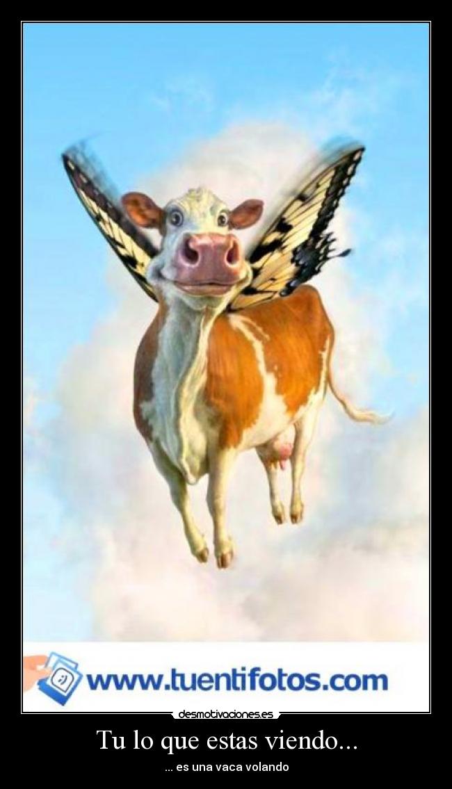 Tu lo que estas viendo... -