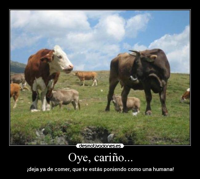 Oye, cariño... - ¡deja ya de comer, que te estás poniendo como una humana!