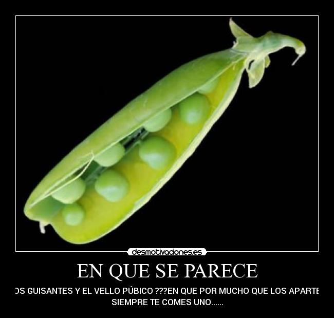 EN QUE SE PARECE -