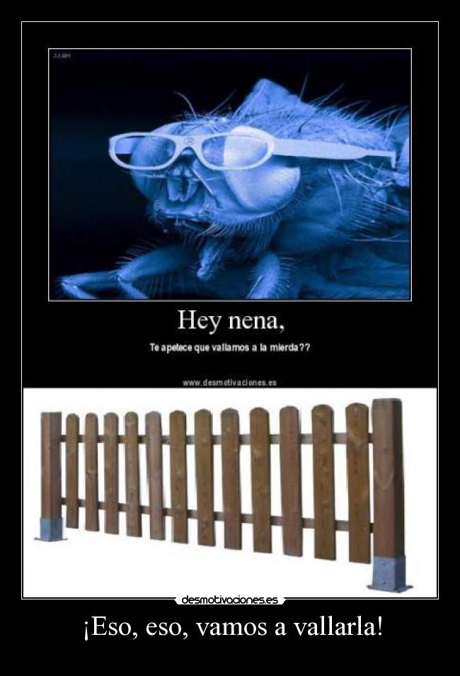 ¡Eso, eso, vamos a vallarla! - 