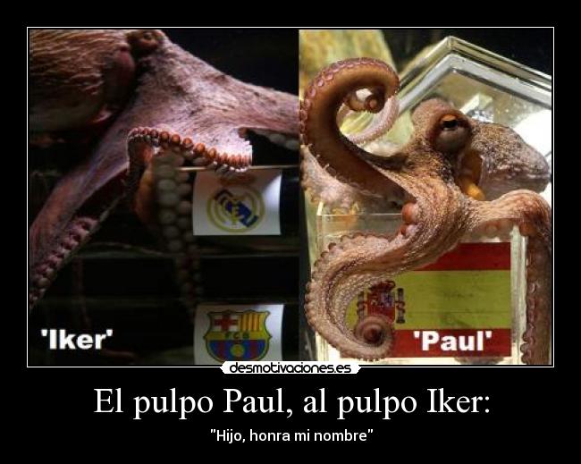 El pulpo Paul, al pulpo Iker: - Hijo, honra mi nombre