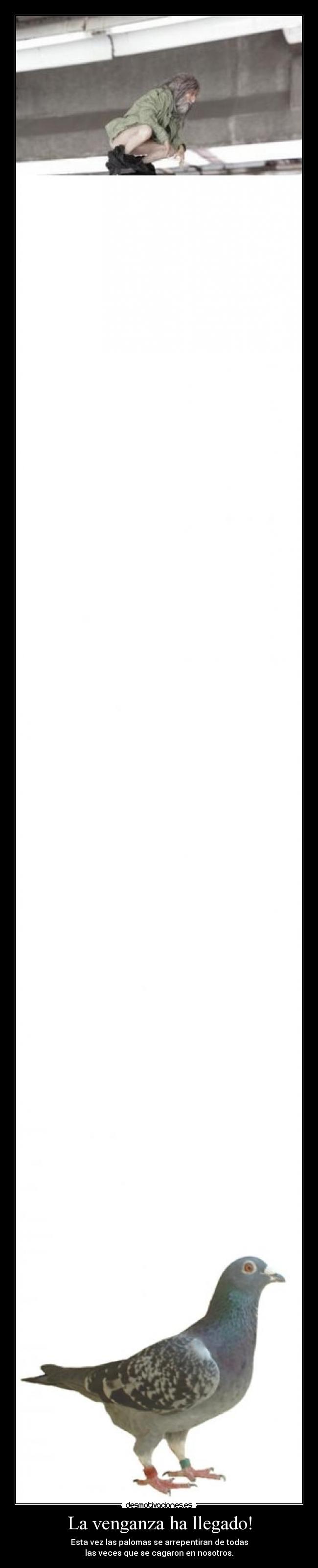 La venganza ha llegado! - 