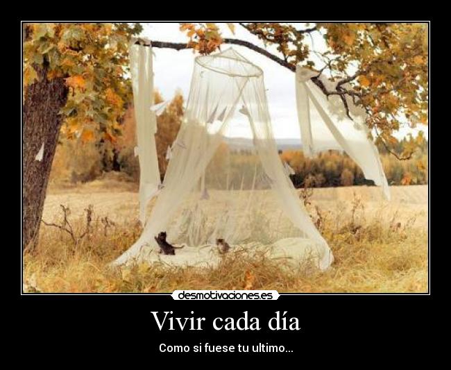 Vivir cada día -