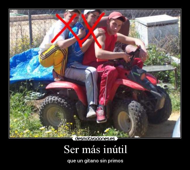 carteles inutil gitano cobarde primos canis idiotas desmotivaciones