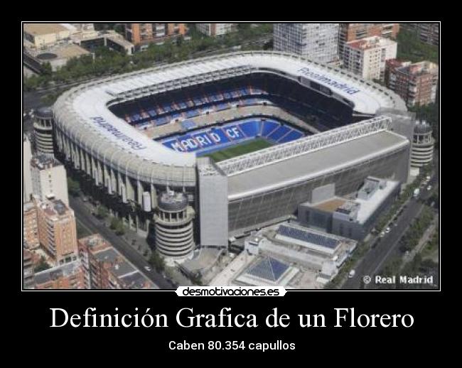 Definición Grafica de un Florero - 