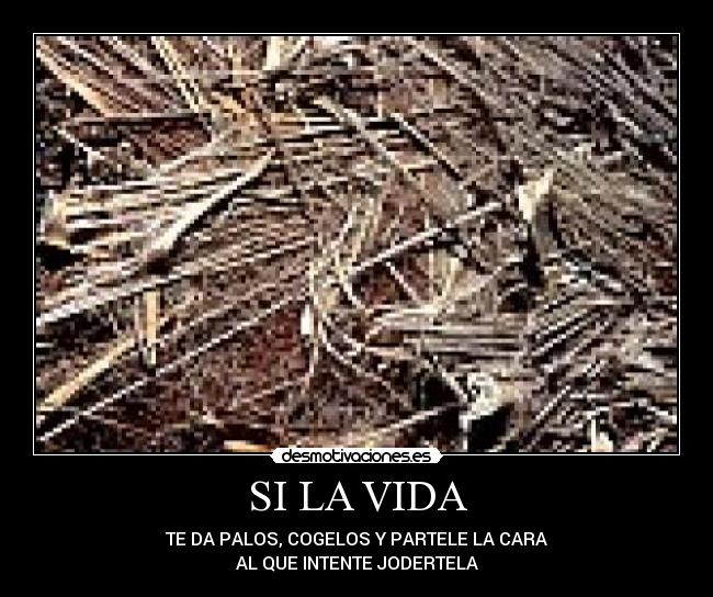 SI LA VIDA -  TE DA PALOS, COGELOS Y PARTELE LA CARA 
AL QUE INTENTE JODERTELA