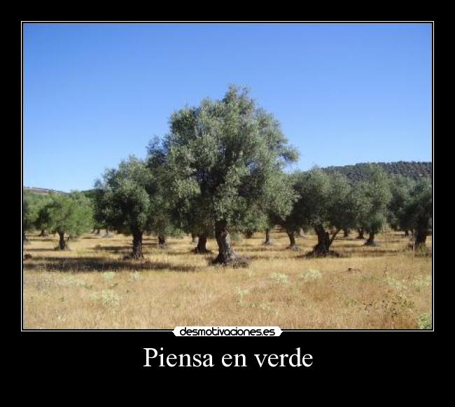 Piensa en verde -