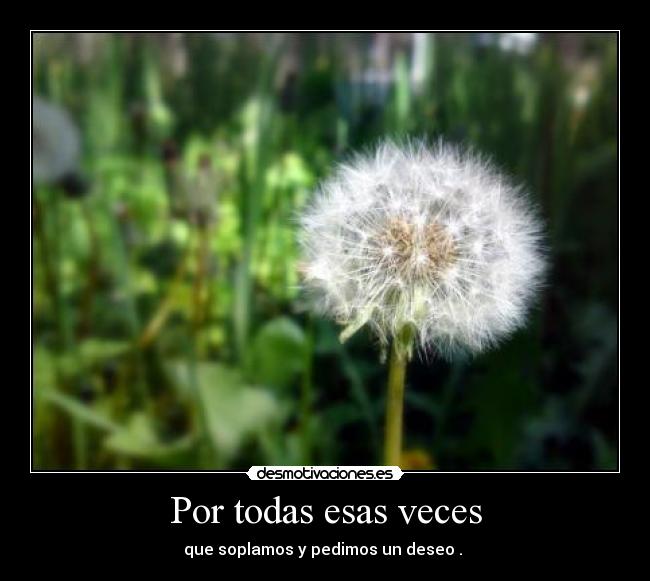 Por todas esas veces - 