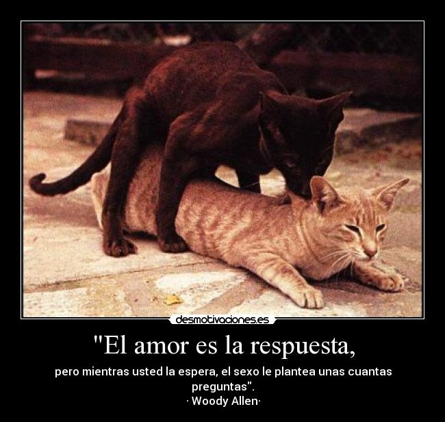 El amor es la respuesta, - 