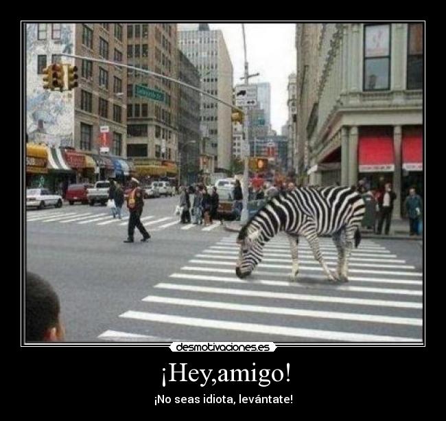 ¡Hey,amigo! -