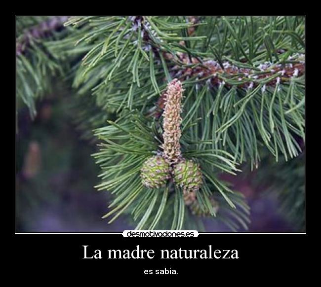 La madre naturaleza - 