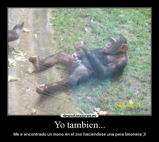 Yo tambien... -