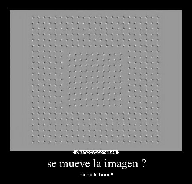 carteles shikamaru180 gatosman rio desmotivaciones