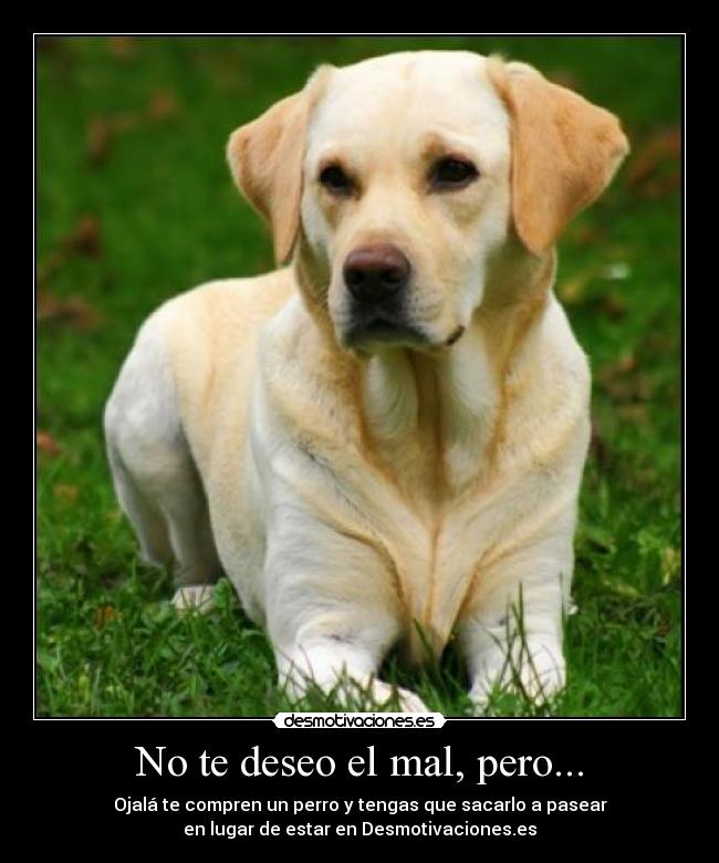 No te deseo el mal, pero... - 