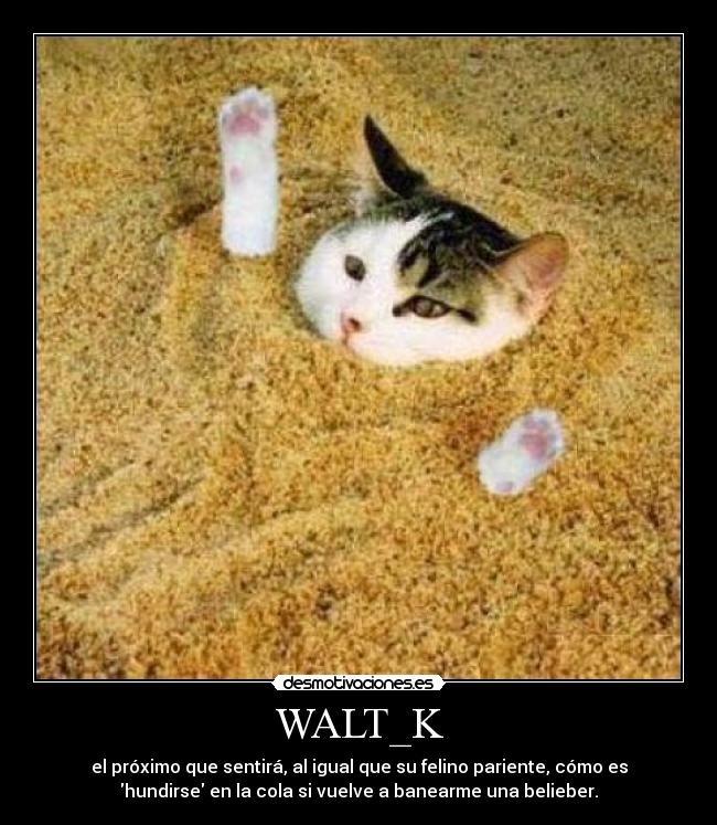 WALT_K - el próximo que sentirá, al igual que su felino pariente, cómo es
hundirse en la cola si vuelve a banearme una belieber.