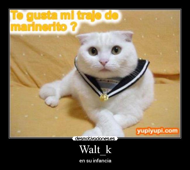 Walt_k -