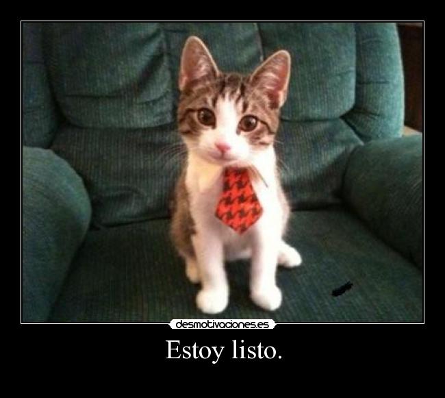Estoy listo. - 