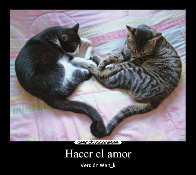Hacer el amor - 